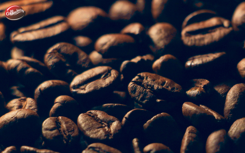 Robusta-Fine-co-the-thay-the-Arabica-trong-espresso-khong (2)